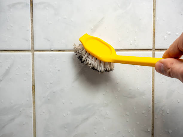 Best Certified Mold Removal  in Peekskill, NY